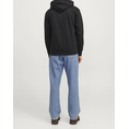 Product JACK&JONES JORPORTLAND BLOCK SWEAT HOOD LN thumbnail image