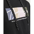 Product JACK&JONES JORPORTLAND BLOCK SWEAT HOOD LN thumbnail image