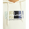 Product JACK&JONES JORPORTLAND BLOCK SWEAT HOOD LN thumbnail image
