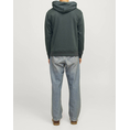 Product JACK&JONES JORPORTLAND BLOCK SWEAT HOOD LN thumbnail image