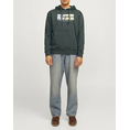 Product JACK&JONES JORPORTLAND BLOCK SWEAT HOOD LN thumbnail image