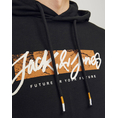 Product JACK&JONES JJTILEY SWEAT HOOD LN thumbnail image