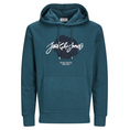 Product JACK&JONES JJTILEY SWEAT HOOD LN thumbnail image