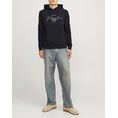 Product JACK&JONES JJFERRIS SWEAT HOOD thumbnail image