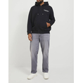 Product JACK&JONES JORVESTERBRO SWEAT ZIP HOOD NOOS PLS thumbnail image