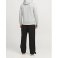 Product JACK&JONES JCOTERRAIN SWEAT HOOD FST thumbnail image