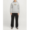 Product JACK&JONES JCOTERRAIN SWEAT HOOD FST thumbnail image