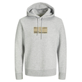 Product JACK&JONES JCOTERRAIN SWEAT HOOD FST thumbnail image