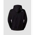 Product THE NORTH FACE M HOOD LOGO P/O thumbnail image