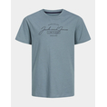 Product JACK&JONES JJFERRIS TEE SS CREW NECK JNR thumbnail image