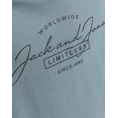 Product JACK&JONES JJFERRIS TEE SS CREW NECK JNR thumbnail image