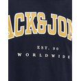 Product JACK&JONES JJECALEB VARSITY TEE LS O-NECK JNR thumbnail image