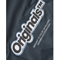 Product JACK&JONES JORVESTERBRO NEWTON BRNDG TEE LS BF JNR thumbnail image