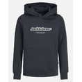 Product JACK&JONES JORVESTERBRO NEWTON BRNDG SWEAT BF JNR thumbnail image