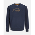 Product JACK&JACK JJFERRIS SWEAT CREW NECK JNR thumbnail image