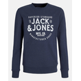 Product JACK&JONES JJJEANS SWEAT O-NECK JNR thumbnail image