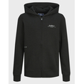 Product JACK&JONES JJGREAT B2S LOGO SWEAT ZIP HOOD JNR thumbnail image