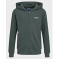 Product JACK&JONES JJGREAT B2S LOGO SWEAT ZIP HOOD JNR thumbnail image