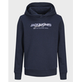 Product JACK&JONES JJALVIS SWEAT HOOD JNR thumbnail image