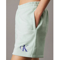 Product CALVIN KLEIN MONOLOGO FRENCH TERRY SHORT thumbnail image