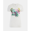Product GUESS CN SS LEAF TRIANGLE TEE ΜΠΛΟΥΖΑ ΓΥΝΑΙΚΕΙΟ thumbnail image