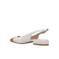 Product KALOGIROU DARIA56 thumbnail image