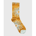 Product FUNKY BUDDHA Γυναικείες Κάλτσες thumbnail image