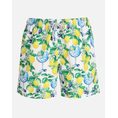 Product MC2 GUSTAVIA-SWIMSHORT-GIN CITRUS 01 thumbnail image