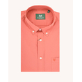 Product THE BOSTONIANS  ΠΟΥΚΑΜΙΣΟ ΠΟΠΛΙΝΑ REGULAR FIT Plain POPLIN Button-down Regular Fit thumbnail image