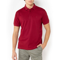 Product THE BOSTONIANS POLO SHIRT PIQUE PIMA COTTON REGULAR thumbnail image