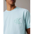 Product CALVIN KLEIN JEANS CK APPLIQUE TEE thumbnail image