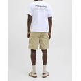 Product JACK&JONES JPSTKARL AVERY CARGO SHORTS MID thumbnail image