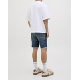 Product JACK&JONES JJIRICK JJFOX SHORTS CB 310 SN thumbnail image