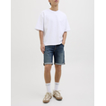 Product JACK&JONES JJIRICK JJFOX SHORTS CB 310 SN thumbnail image