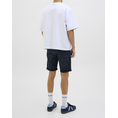 Product JACK&JONES JJIRICK JJFOX SHORTS CB 310 SN thumbnail image