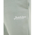 Product JACK&JONES JPSTGORDON BEAU SWEAT SHORTS MID thumbnail image