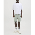 Product JACK&JONES JPSTGORDON BEAU SWEAT SHORTS MID thumbnail image