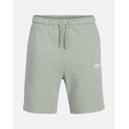 Product JACK&JONES JPSTGORDON BEAU SWEAT SHORTS MID thumbnail image