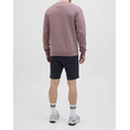 Product JACK&JONES JPSTGORDON BEAU SWEAT SHORTS MID thumbnail image