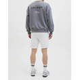 Product JACK&JONES JPSTGORDON BEAU SWEAT SHORTS MID thumbnail image