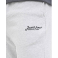 Product JACK&JONES JPSTGORDON BEAU SWEAT SHORTS MID thumbnail image