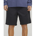 Product JACK&JONES JPSTJAIDEN CAMPAIGNHYBRIDJOGGERSHORT SRT thumbnail image