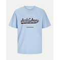 Product JACK&JONES JJELOGO TEE SS O-NECK 2 COL SS25 SN thumbnail image