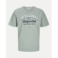 Product JACK&JONES JJELOGO TEE SS O-NECK 2 COL SS25 SN thumbnail image