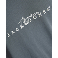 Product JACK&JONES JORVARENNA BRANDING TEE SS CREW NECK thumbnail image