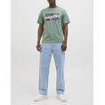 Product JACK&JONES JJHAWAII SHAPE TEE SS CREW NECK LN thumbnail image