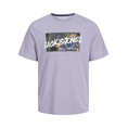 Product JACK&JONES JJHAWAII SHAPE TEE SS CREW NECK LN thumbnail image