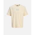 Product JACK&JONES JPRBLADESTINATION SS TEE thumbnail image