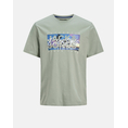 Product JACK&JONES JJCOLTON PHOTOPRINT TEE SS CREW NECK thumbnail image