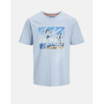 Product JACK&JONES JJCOLTON PHOTOPRINT TEE SS CREW NECK thumbnail image